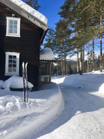 Breiva Gjestegaard Og Glamping Бьо Екстер'єр фото